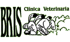 Bris Clínica Veterinaria- Albaitari Klinika